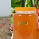 Pure Litchi Honey in Ramnagar